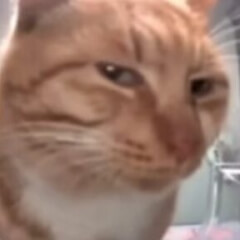 EugeneVR