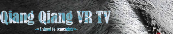 Qiang Qiang VR TV channel banner
