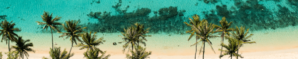 AlexTraveler channel banner