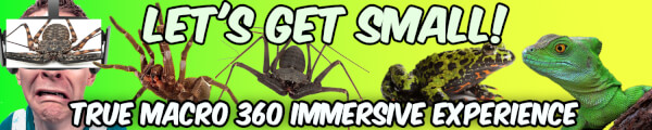 Lets Get Small channel banner