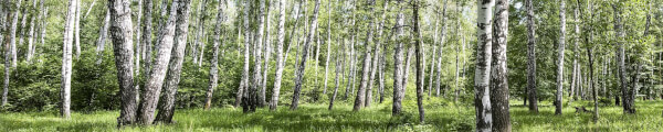 TomasKrejzek-VR180 channel banner