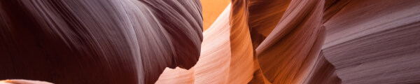 nelit channel banner