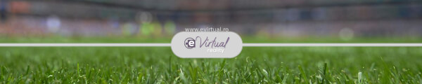 eVirtual_ro channel banner