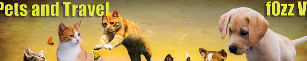 f0zzi3 channel banner