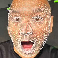 VR Japan