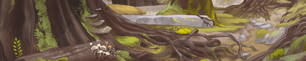 sheharzad channel banner