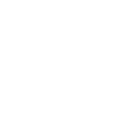 PandoraVR