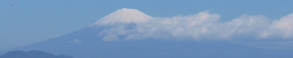 singo7jp channel banner