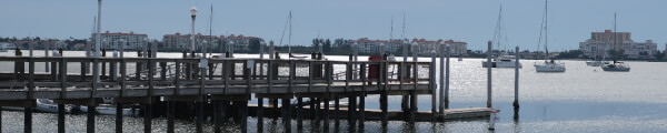 ViVSoft channel banner