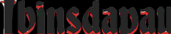 ibinsdapaul channel banner