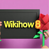 wikihow8VR