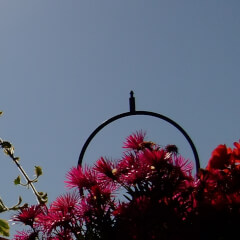 JMB3D