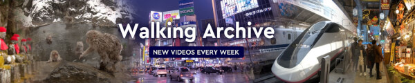 walkingarchive channel banner