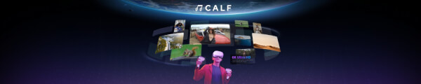 Calf VR channel banner