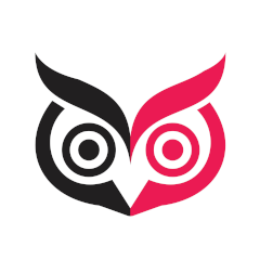 Owls VR