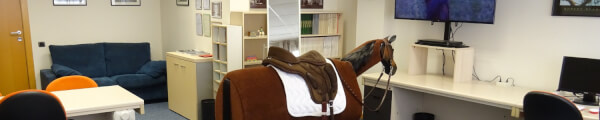 Hipica Base channel banner