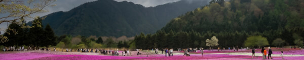 TaiwanVR channel banner