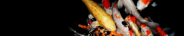 MiruMIruMIru channel banner