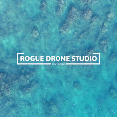 RogueDroneStudio