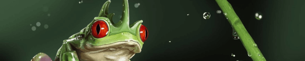 STUDIO CANELLE channel banner