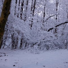 ALEXANDERVR