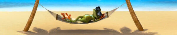 VirtualFrog channel banner