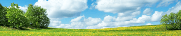 Natureza 360 channel banner