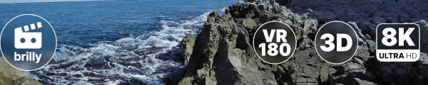 brilly channel banner
