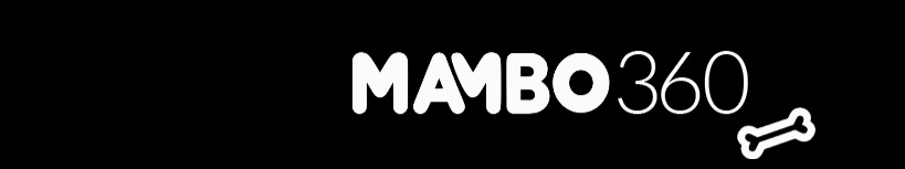 studio name