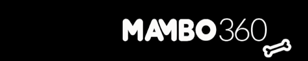 Mambo360 channel banner