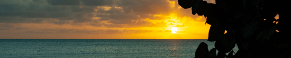 EdwardLThompson channel banner