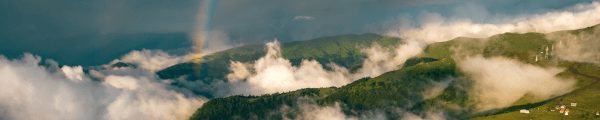 From Birds Eye channel banner