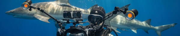 FLYOtto channel banner