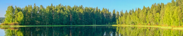 Digital Dreams channel banner