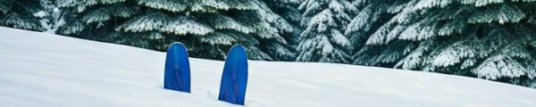 DST A NEN channel banner