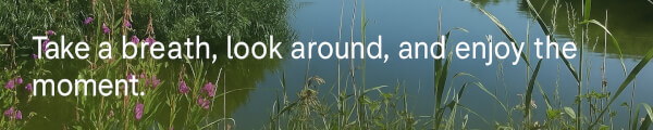 MomentVR channel banner