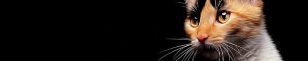 Lugares channel banner