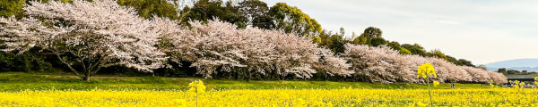 JapanVRTravel channel banner