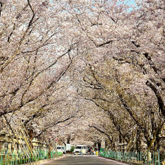 JapanVRTravel