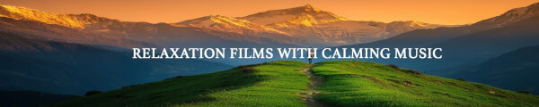Scenic Tales channel banner