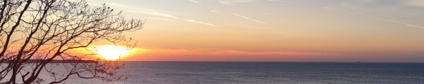 Snicel69 food and travel channel banner