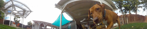 Brownwell Ent channel banner