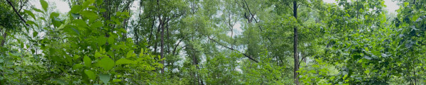 GimpyOldGuy channel banner