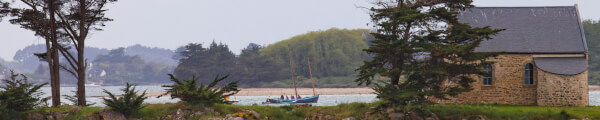 Cardamine channel banner