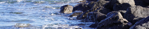 Furamingo channel banner