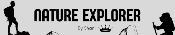 Nature Explorer channel banner