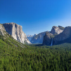 Naturescapes