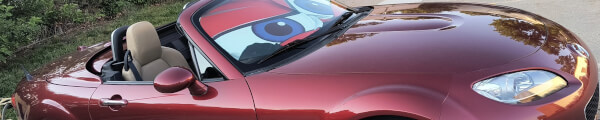 Argyle302 In 360 channel banner