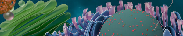 MiyakoNakamuraScicenceGFX channel banner