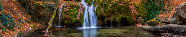Nature Waves 3D channel banner